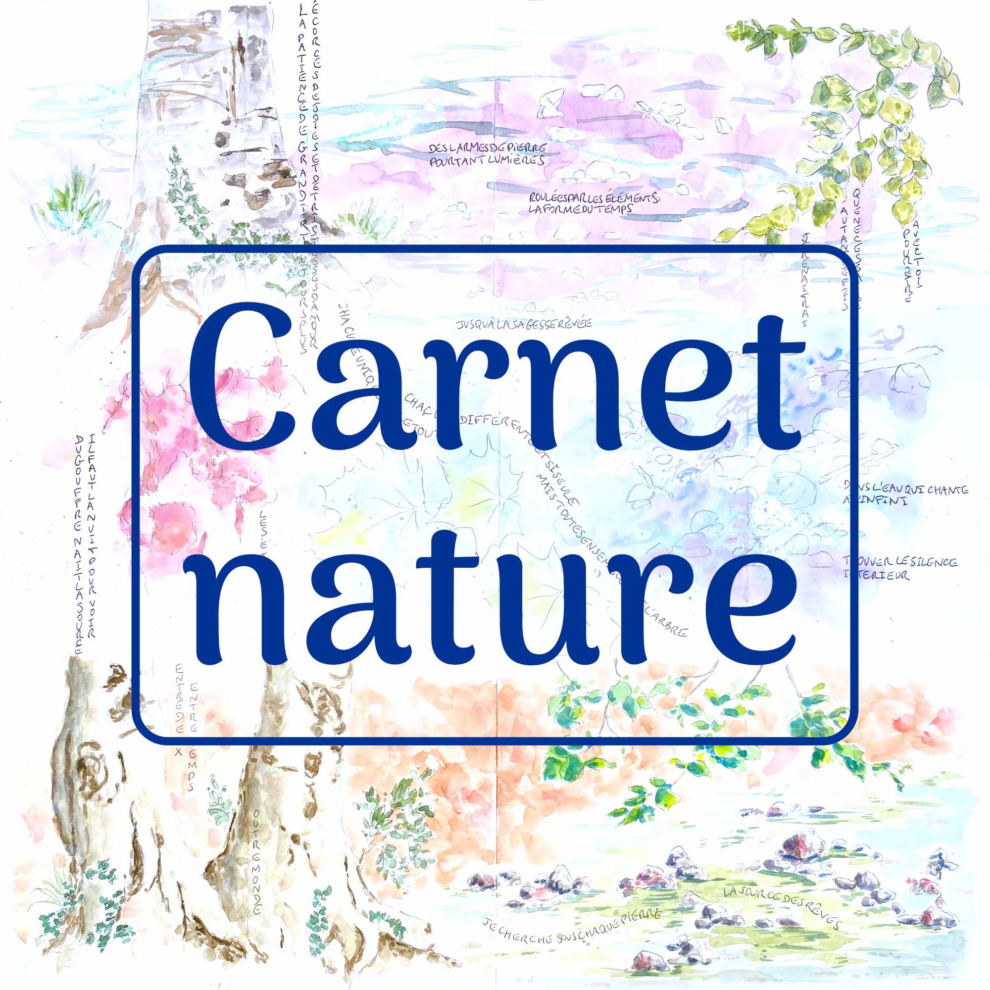 Collage par Héloïse Pocry Visuel des ateliers Carnet nature par Héloïse Pocry